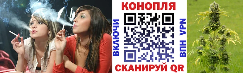 Шишки марихуана план Лодейное Поле